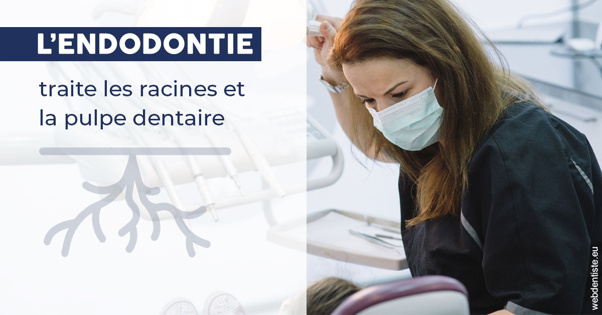 https://dr-eliane-augarten.chirurgiens-dentistes.fr/L'endodontie 1