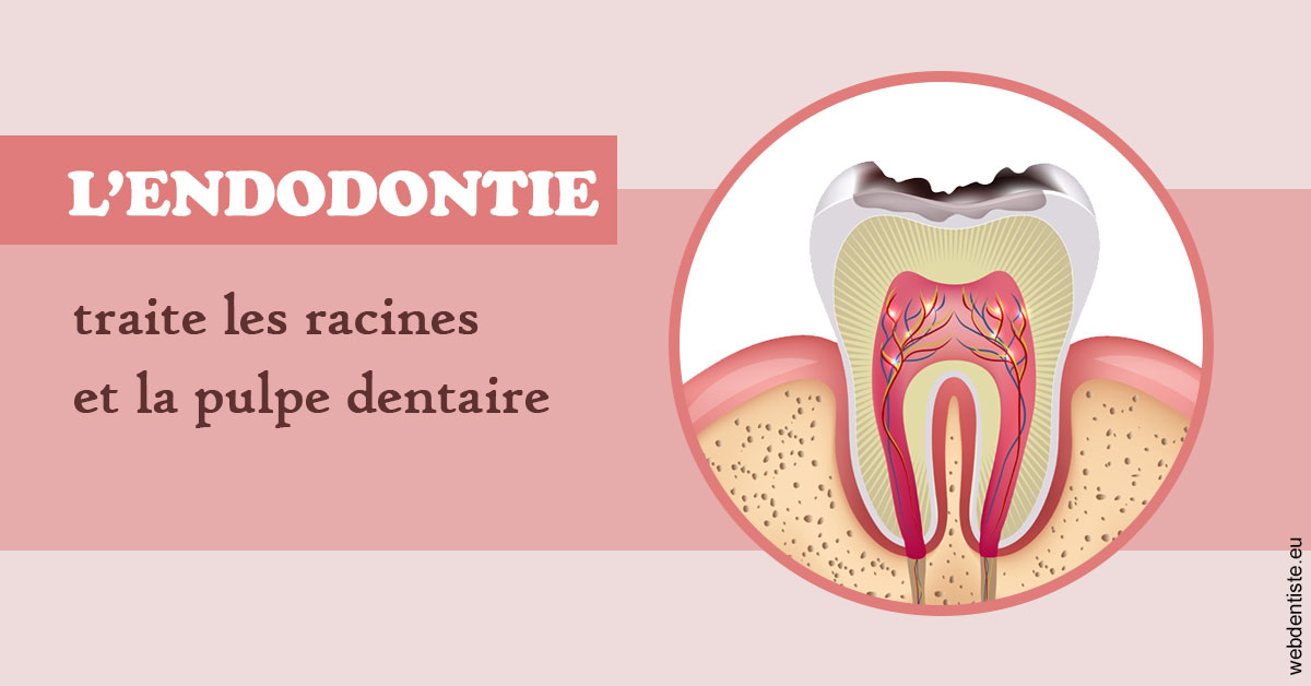 https://dr-eliane-augarten.chirurgiens-dentistes.fr/L'endodontie 2