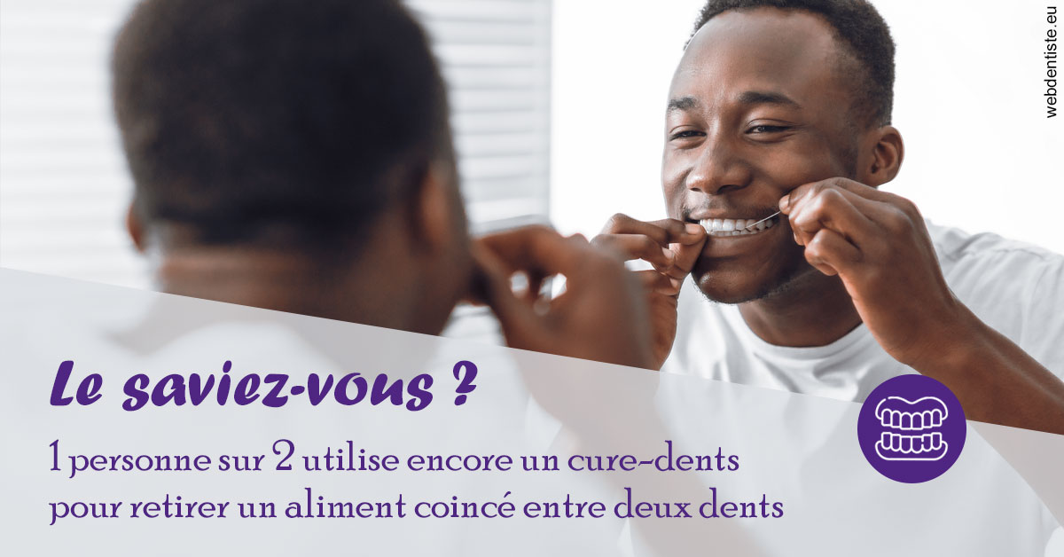 https://dr-eliane-augarten.chirurgiens-dentistes.fr/Cure-dents 2