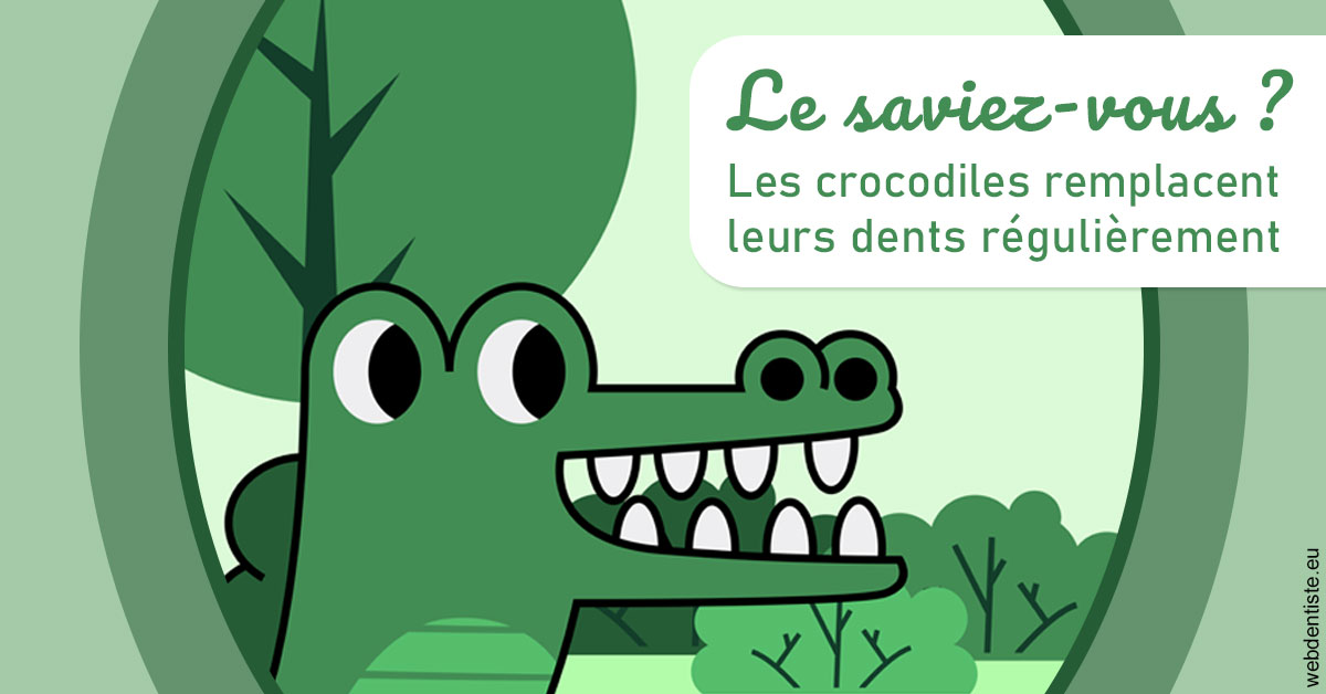 https://dr-eliane-augarten.chirurgiens-dentistes.fr/Crocodiles 2