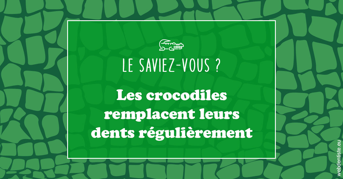 https://dr-eliane-augarten.chirurgiens-dentistes.fr/Crocodiles 1